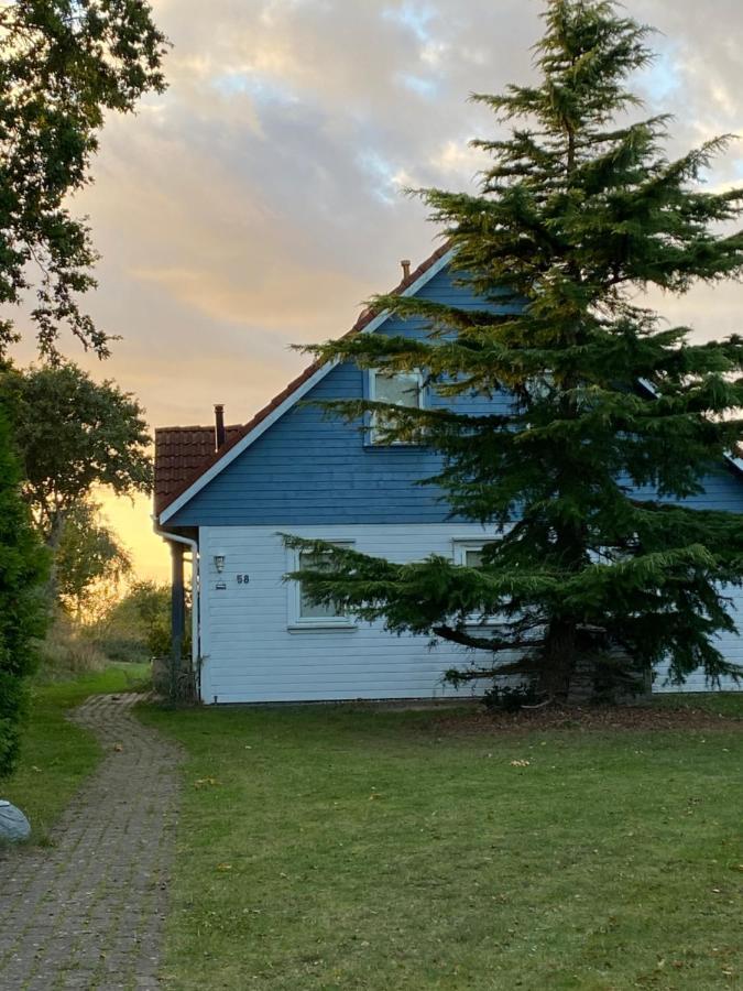 Freistehendes Einfamilienhaus Mit Boddenblick Naehe Ostsee Fuhlendorf  Exterior photo